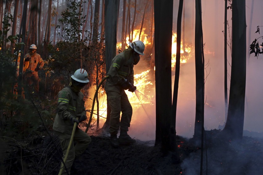 Pożary trawią środkową Portugalię
