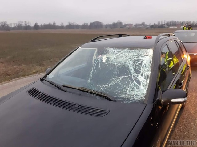 W niedzielne przedpołudnie pomiędzy Ozimkiem a Krasiejowem doszło do potrącenia pieszego.