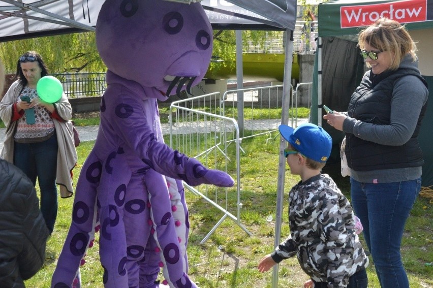 Majówka na Wyspie Słodowej potrwa do środy. Wstęp na...