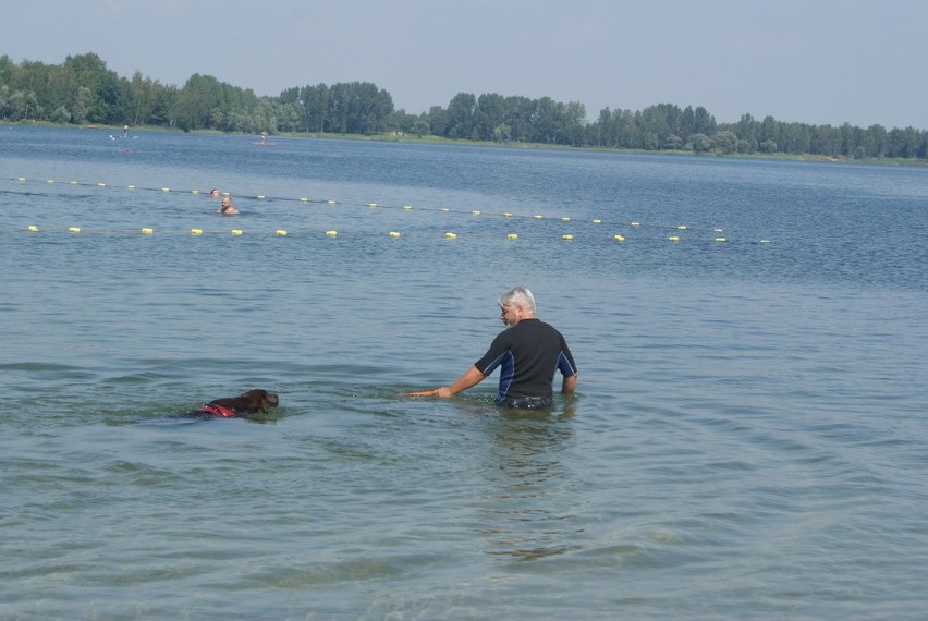 Mistrzostwa Polski Psów Ratowniczych i Pracujących w Wodzie...