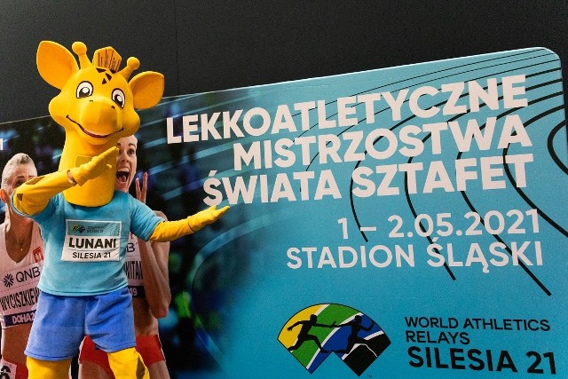 Na 100 dni przed MŚ sztafet na Stadionie Śląskim odbyła się konferencja prasowa  Zobacz kolejne zdjęcia. Przesuwaj zdjęcia w prawo - naciśnij strzałkę lub przycisk NASTĘPNE