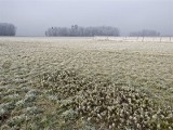 Kolejny spór o granice. Tym razem w Łączewnej!