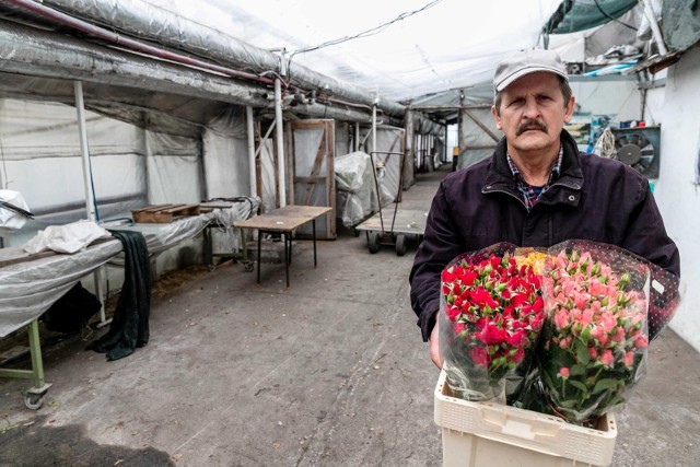 To już ostatnie kwiaty z Gospodarstwa Ogrodniczego Henryk Katruk w Dobrzyniewie Dużym. Pracownicy otrzymali wypowiedzenia, a właściciel gospodarstwa przechodzi na emeryturę