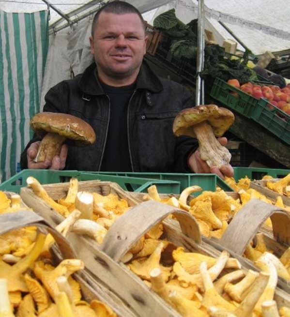 - W tym roku obrodziły kurki, ale i ładne borowiki można znaleźć - mówi Andrzej Borkiewicz, u którego grzyby kupują zwłaszcza Niemcy.