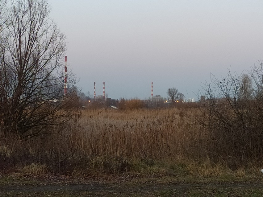 Pożar w Hucie Częstochowa i zanik napięcia w mieście. Dymy nad koksownią w Częstochowie