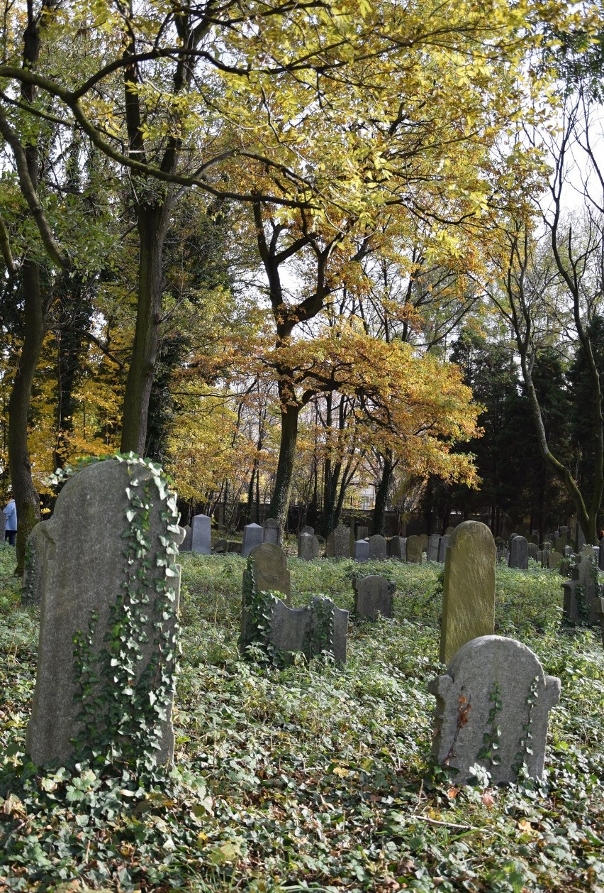 Niezwykła lekcja historii 1 listopada z dr Jackiem Proszykiem na zabytkowym cmentarzu żydowskim w Oświęcimiu [ZDJĘCIA]