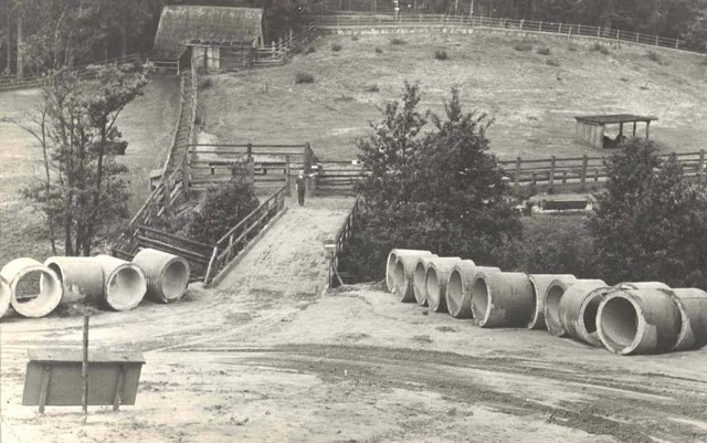 60 lat zoo w Gdańsku