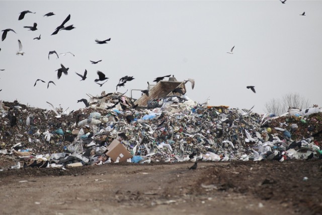 Lubelski ratusz przekonuje, że inwestycja w zagospodarowanie odpadów jest konieczna