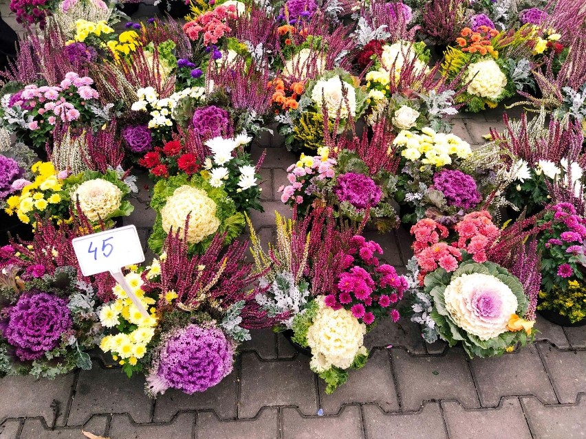 Giełda przy Andersa w Białymstoku. Sprawdź ceny zniczy i kwiatów na Wszystkich Świętych (ZDJĘCIA)