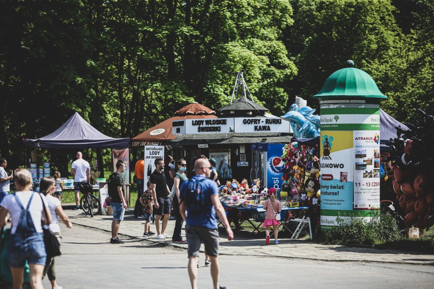 Chorzów. Park Śląski pełen ludzi! Warto wykorzystać weekend...