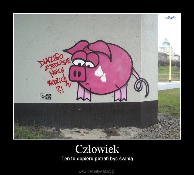 Graffiti na Wałach Chrobrego w Szczecinie