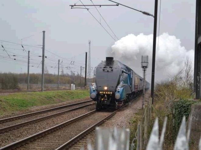 Pociąg Pendolino MEMY, czyli cudowne dziecko polskich torów na wesoło