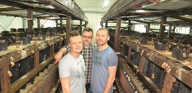 Pomysł na hodowlę, która da zarobić - ślimaki! U hodowców w Kobylance |  Gazeta Pomorska