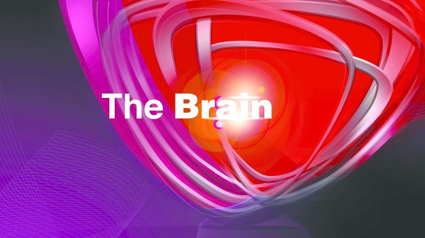 "The Brain - genialny umysł"...