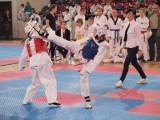 Atrakcyjne zawody w taekwondo w Ostrowcu (zdjęcia)