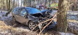W Kobylinku samochód uderzył w drzewo. Do zdarzenia doszło 8.03.2023.Zdjęcia