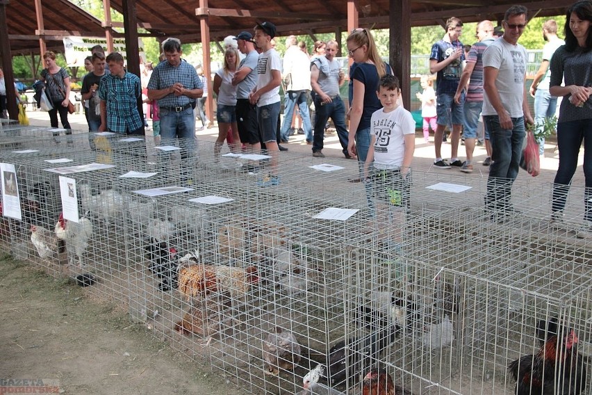 Zarzeczewo 2017 - targowy weekend z maszynami, roślinami i ptactwem [zdjęcia]