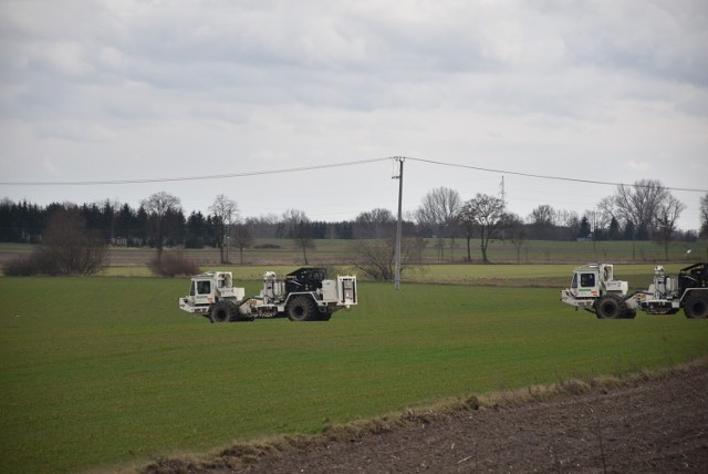 Pojazdy Geofizyki Toruń na polu pod Gnieznem poszukują ropy naftowej.