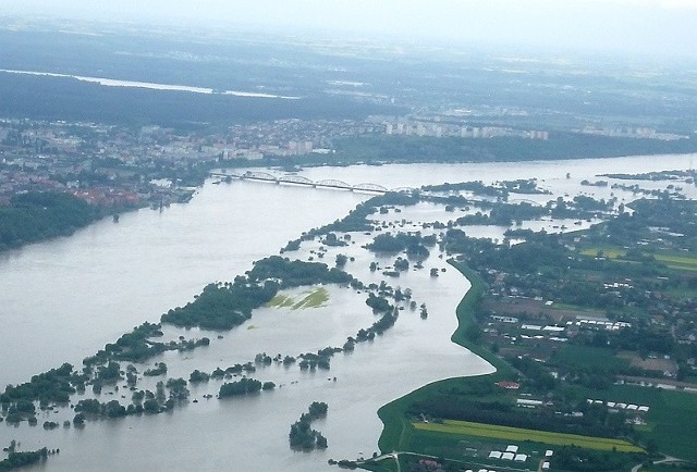 Pod Grudziądzem Wisła zalała tereny gminy Dragacz. W wielu miejscach przydałyby się porządne pompy, aby usunąć wodę...