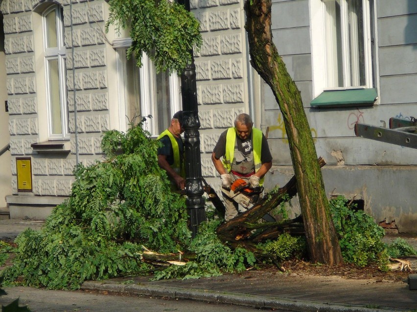 Na wielu ulicach wciąż usuwane są gałęzie. Na terenie ogrodu...