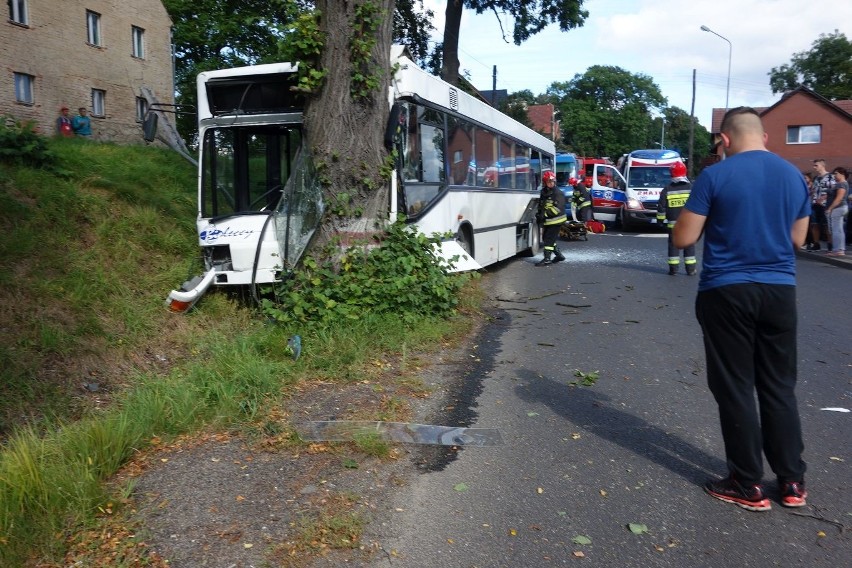 Wypadek w Zarębie pod Lubaniem. Autobus wjechał w drzewo, 22 osoby ranne 