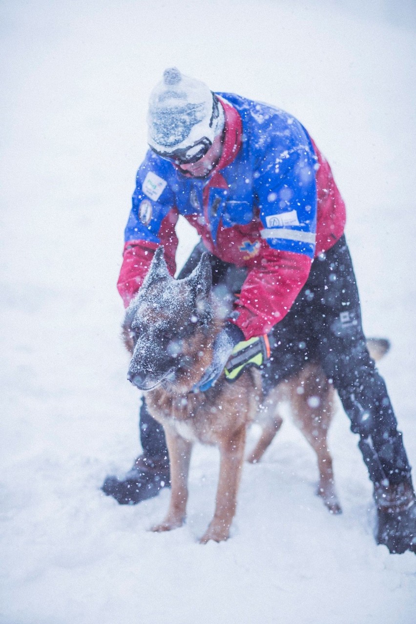 Gorce: Psi ratownicy z GOPR ćwiczyli ratowanie ludzi w ośnieżonych górach [GALERIA]
