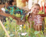 Winobranie 2010: Będziemy świętować z naszym winem!