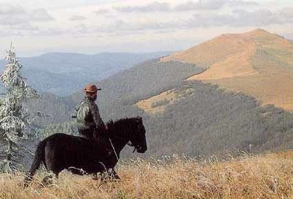 Bieszczady przyciągają  osadników