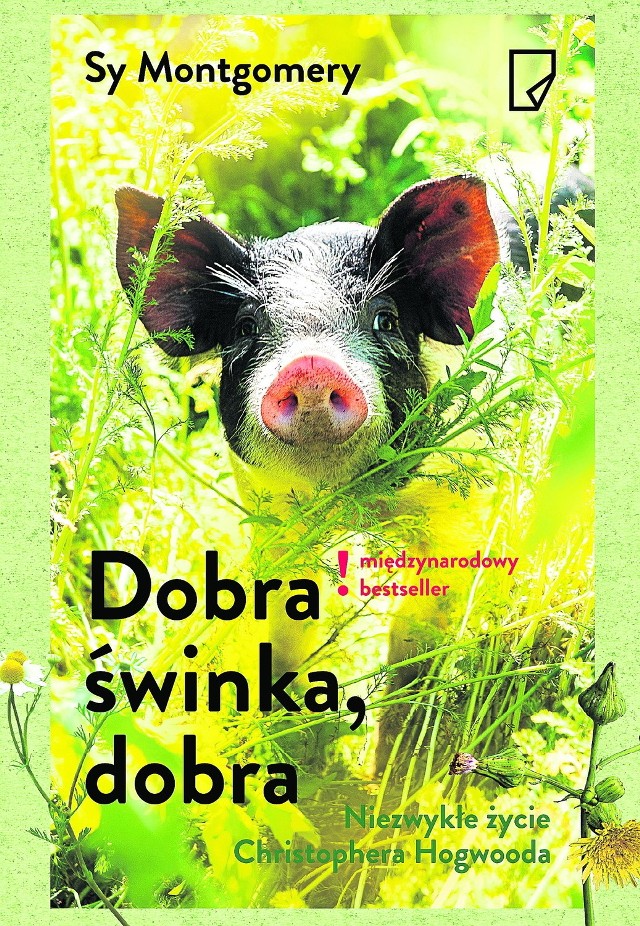Sy Montgomery, "Dobra świnka, dobra", Wydawnictwo Marginesy, Warszawa 2015, stron 288, cena ok. 30 złotych