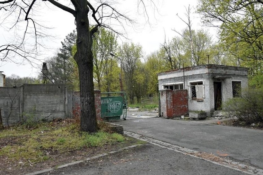 Mroczny, hitlerowski szpital popada w ruinę (ZOBACZ ZDJĘCIA)