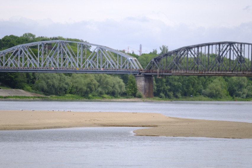 - Ponadto w swojej praktyce nie spotkaliśmy się z...