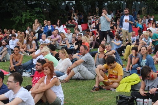 Męskie Granie 2015 w Chorzowie ZDJĘCIA: Hey, Artur Rojek i...