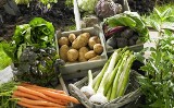 Ceny warzyw w województwie podlaskim. Gdzie kupisz najtańsze warzywa?