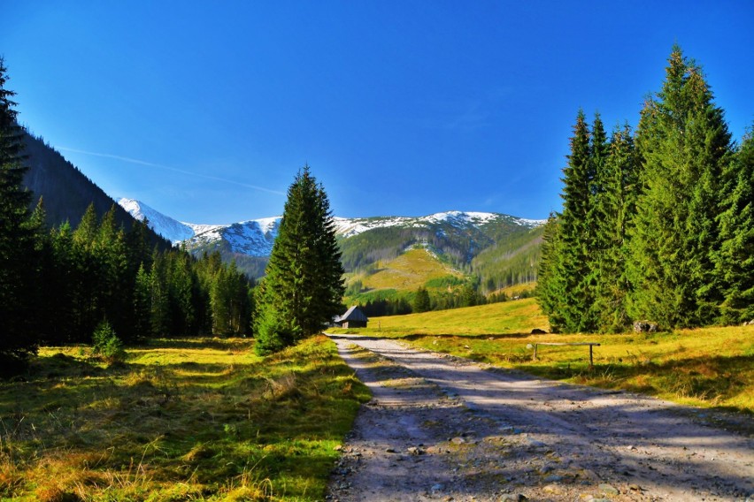 Tatry. Urokliwa Dolina Chochołowska w jesiennych barwach. Warto zobaczyć to miejsce o tej porze roku 