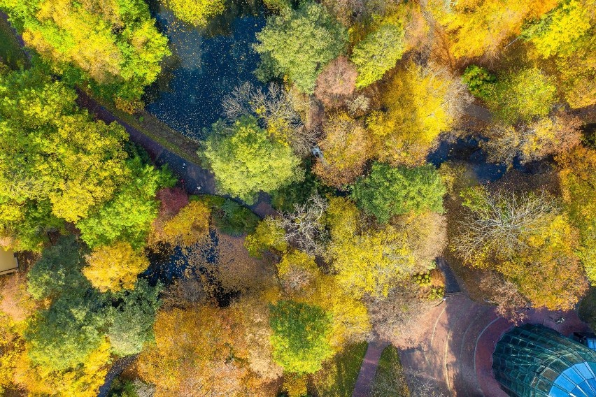 Tak pod koniec października prezentował się Park Oliwski