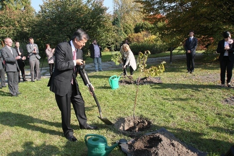 Ambasador Japonii sadził wiśnie w łódzkim ogrodzie botanicznym