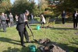 Ambasador Japonii sadził wiśnie w łódzkim ogrodzie botanicznym