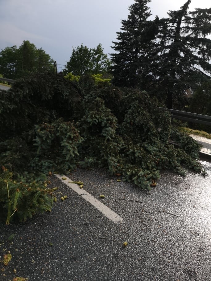 Burza w Rybniku. Uszkodzone dachy, powalone drzewa, zerwane...