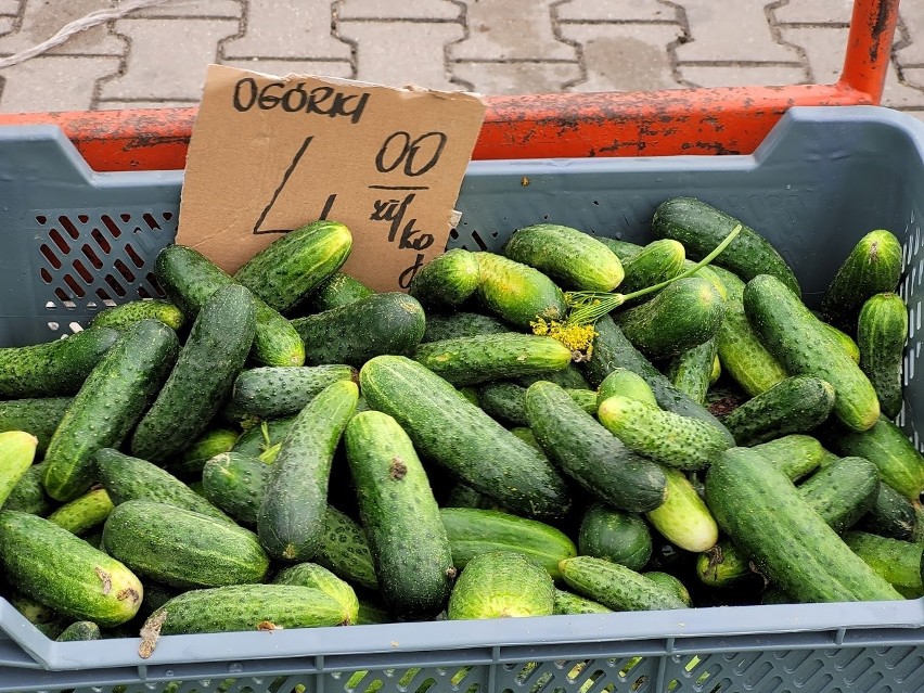 W odróżnieniu o poprzednich niedziel dziś tłumów na placu...