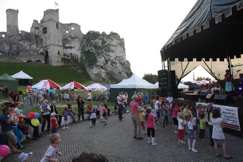 Piknik europejski na Zamku Ogrodzienieckim w Podzamczu za nami [ZDJĘCIA]