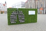 Zielona ściana stanęła na rynku w Tarnowskich Górach. Chodzi o kampanię "Oddech dla Polski" 
