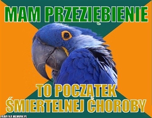  Zdążyłeś się już przeziębić? Nie jesteś sam! Jesień czyli sezon na przeziębienie i grypę w pełni. Jak komentuje to Internet? Zobacz MEMY 