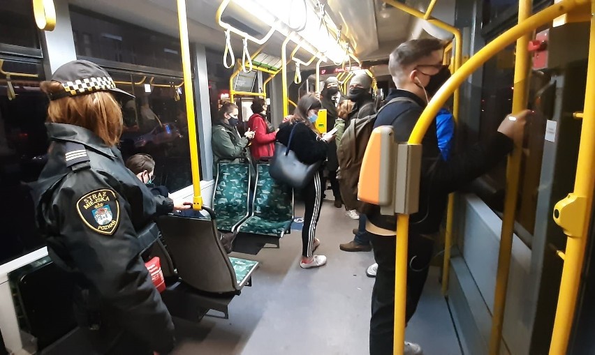 Poznańscy strażnicy miejscy sprawdzają pasażerów, jeżdżących...