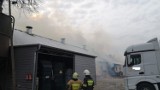 Pożar chlewni w Perzynach. 11 zastępów straży pożarnej walczyło z ogniem. W budynku były kurczaki [ZDJĘCIA]