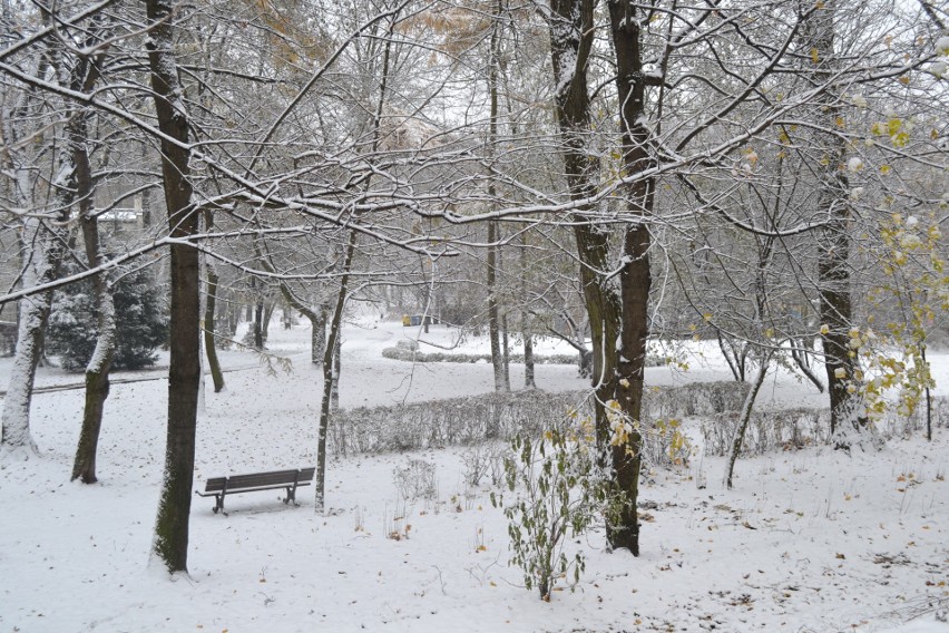 Zima zawitała na Śląsk. Większe ulice w Chorzowie są...