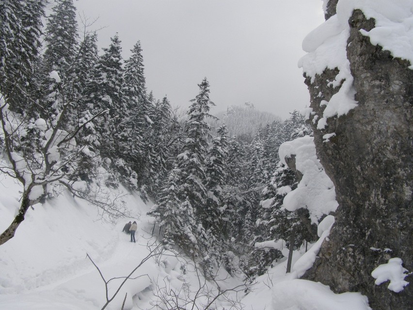 06.02.2012 zakopane .tatry , zima , snieg , landszaft ,...