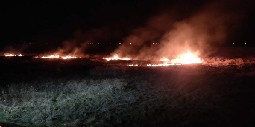 Plaga pożarów traw pod Tarnowem. Strażacy jadą do akcji, a maseczki ochronne im się kończą [ZDJECIA]