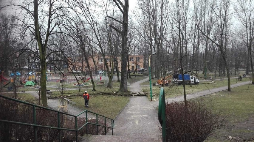 Trwa wycinka drzew w parku im. Wandy Malczewskiej w...