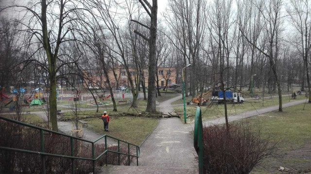 Trwa wycinka drzew w parku im. Wandy Malczewskiej w sosnowieckiej dzielnicy Klimontów