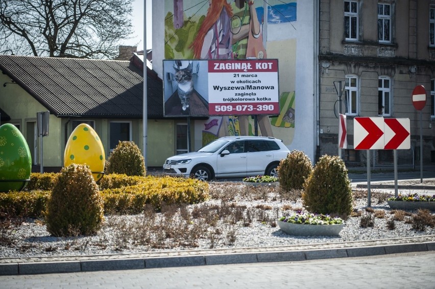 Właściciele Maliny rozwiesili mnóstwo plakatów, zamieścili...